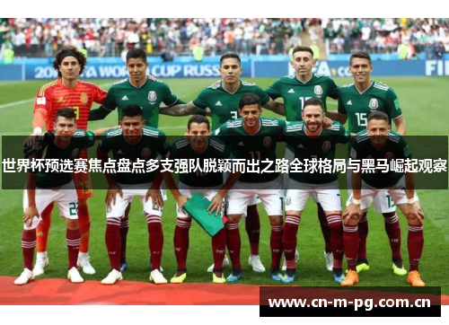 世界杯预选赛焦点盘点多支强队脱颖而出之路全球格局与黑马崛起观察